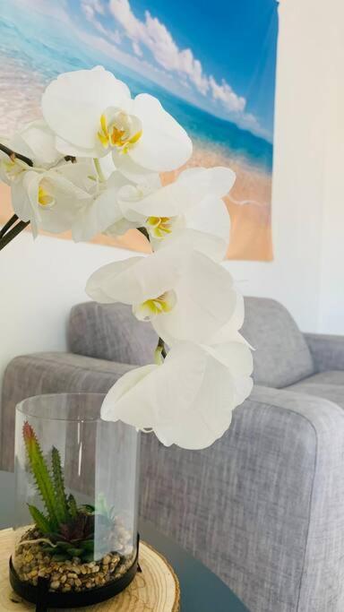 Seven House Poetto Appartement
